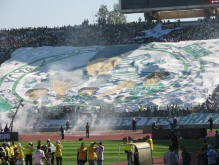 tfo du raja contre waz 