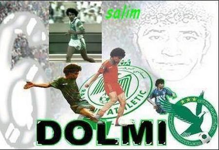 dolmi